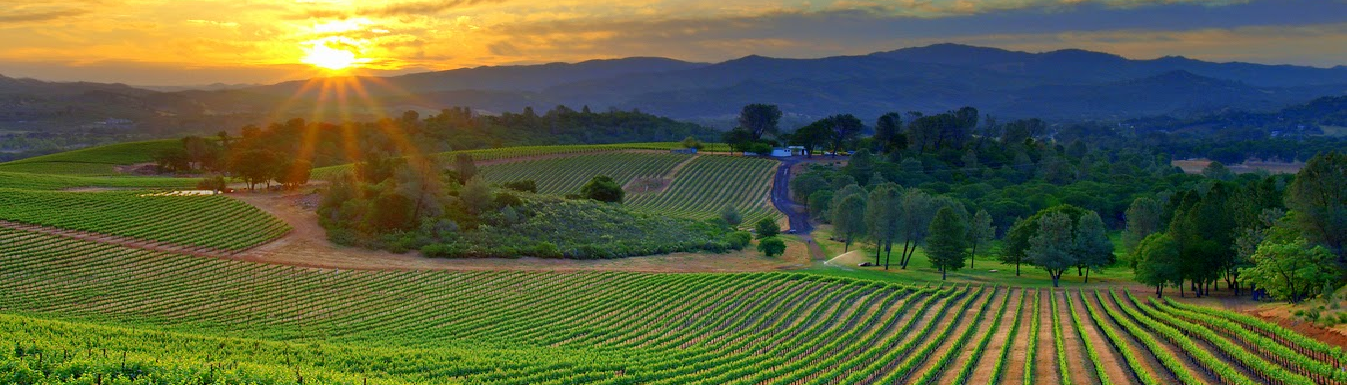 ΑΓΡΟΣΥΜΒΟΥΛΗ